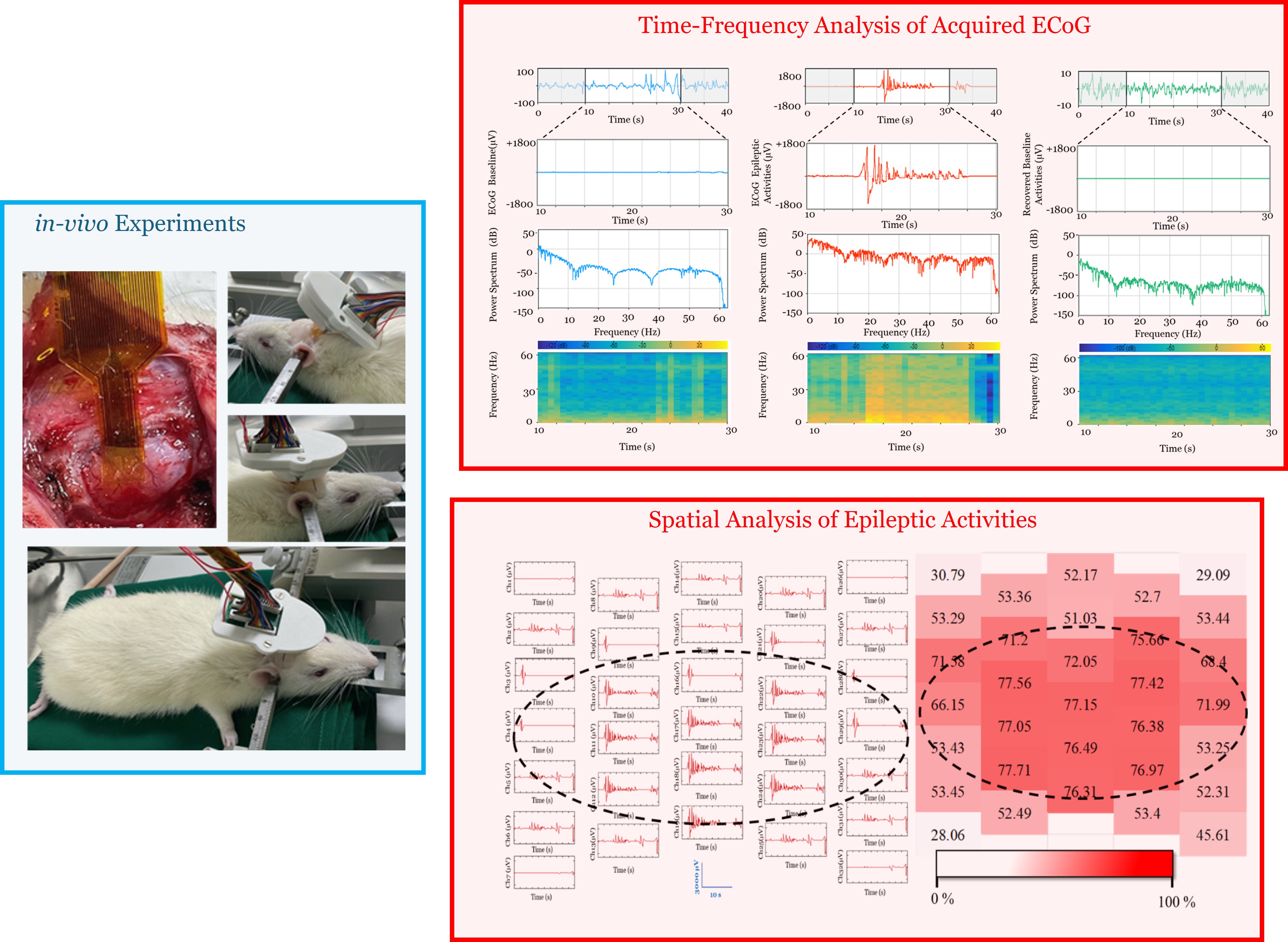 Flow Diagram of the P300 ERP Extraction and Validation using the Developed System versus the Reference System.